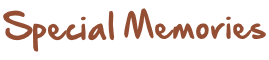 Logo_website_br