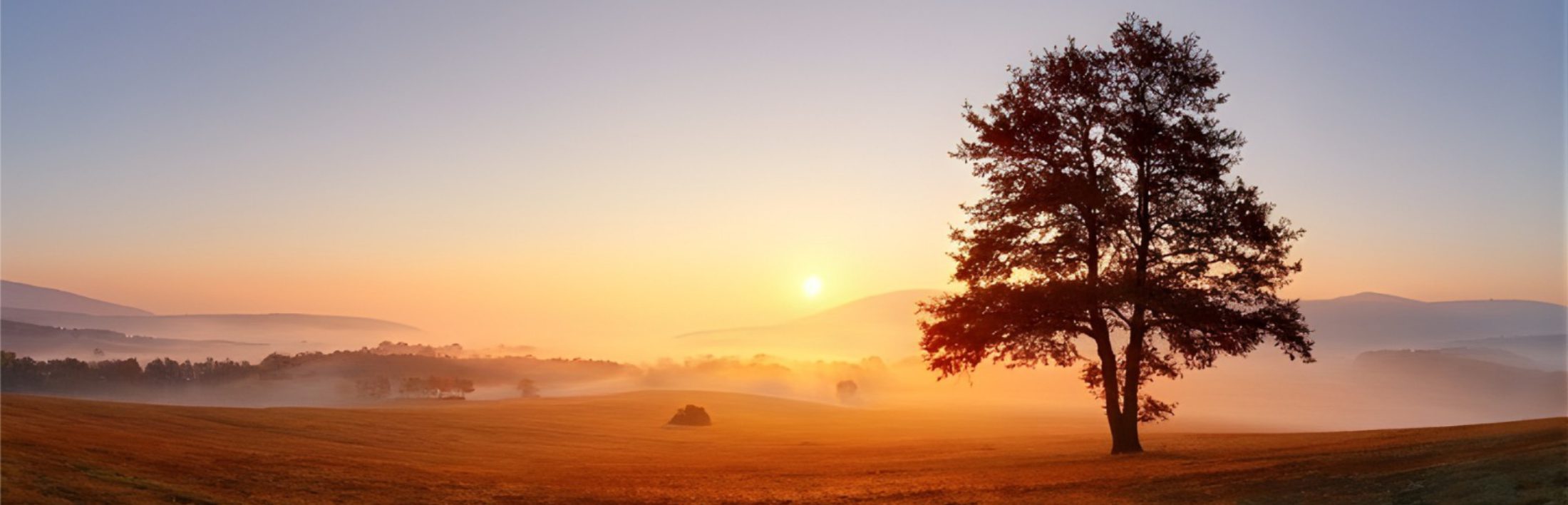 header_special_memories_bgn_2200